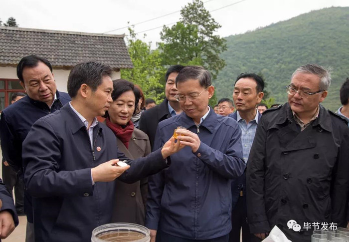 1524791399167198.jpg 郝明金在黔西縣花溪鄉(xiāng)鐘山村養(yǎng)蜂項目集中養(yǎng)殖點調研.jpg