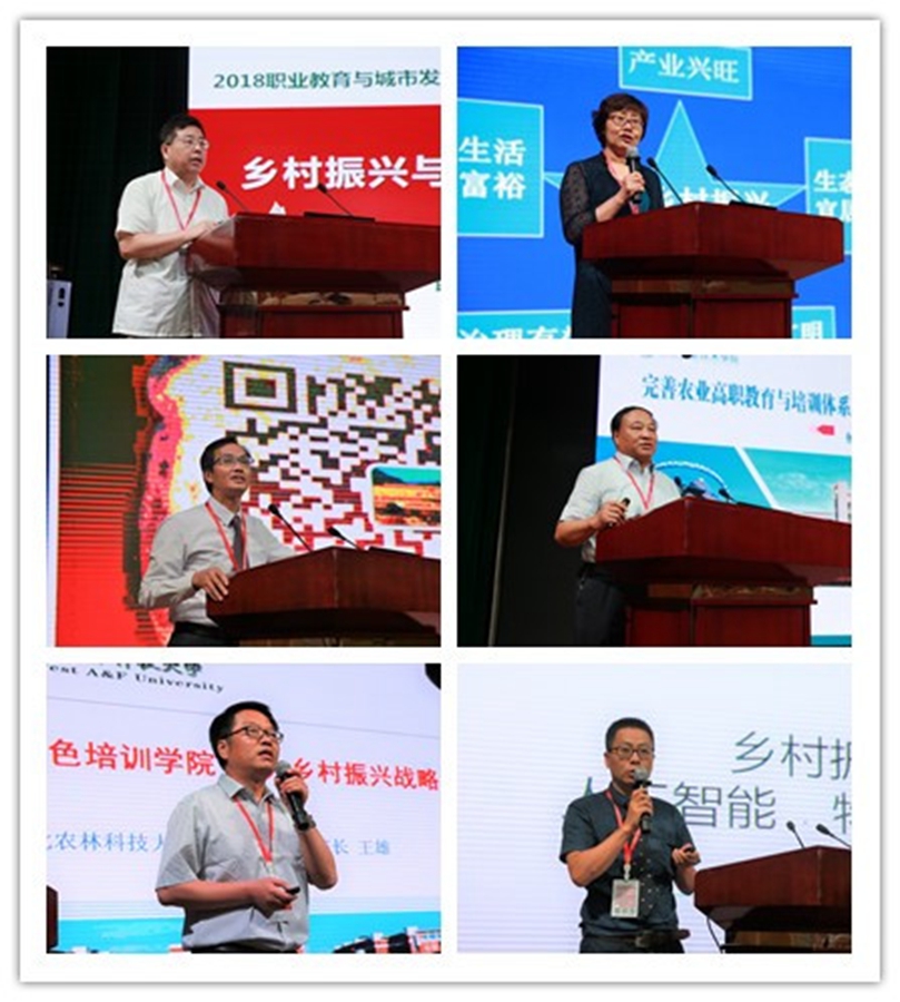 1531446828848925.jpg 1531442879997291.jpg