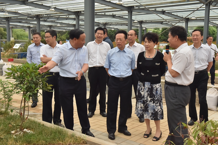 1531446934106476.jpg 1531442886583625.jpg