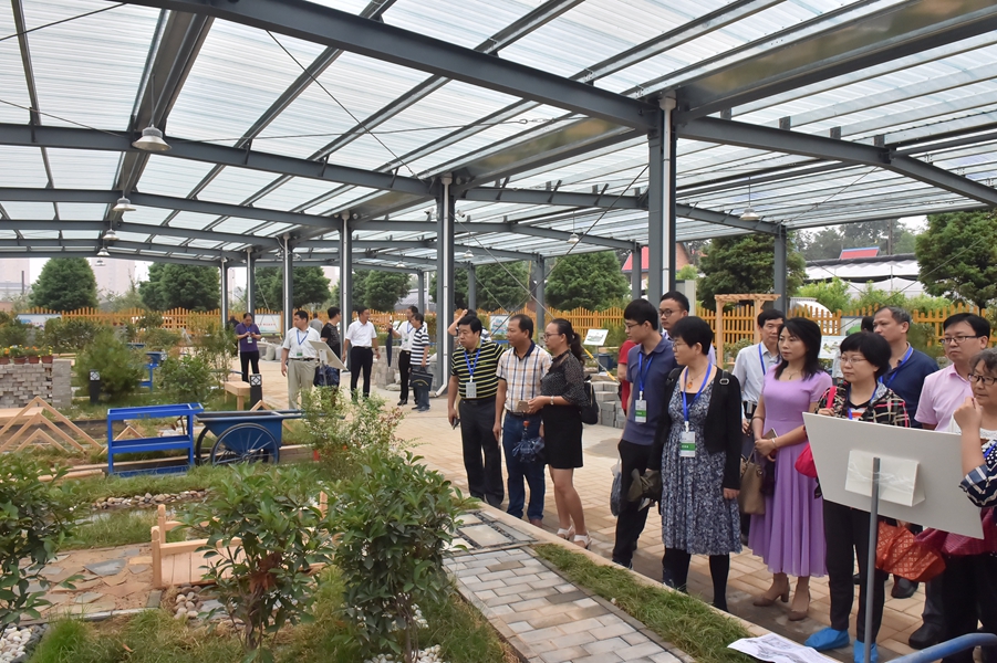 1531446946664357.jpg 1531442888658454.jpg