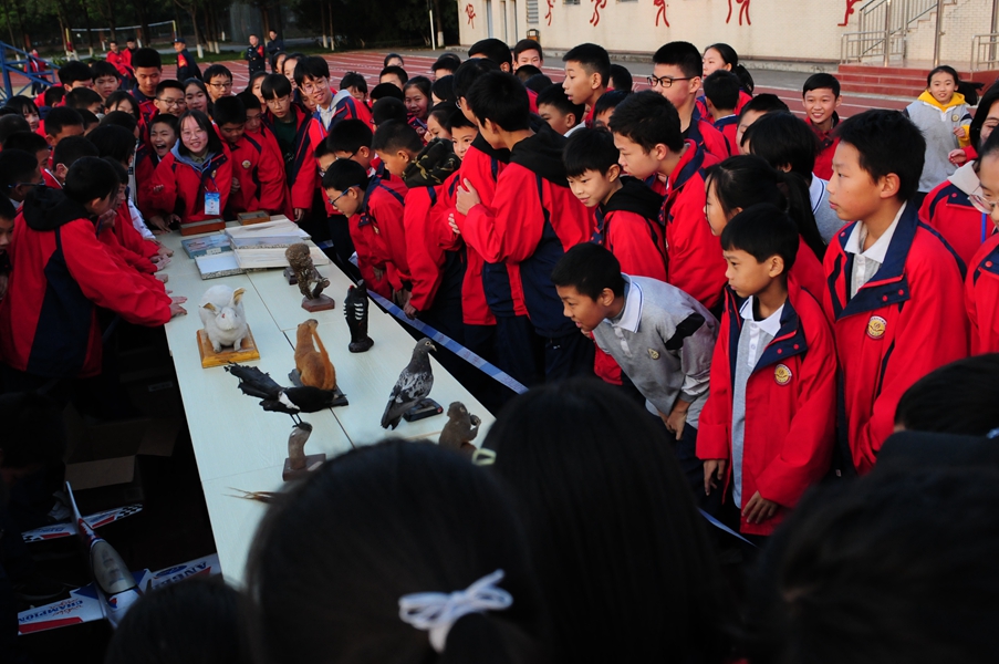 1574046504592799.jpg DSC_1732.JPG