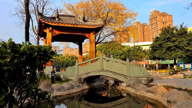 1617088394274429.jpg 15.jpg