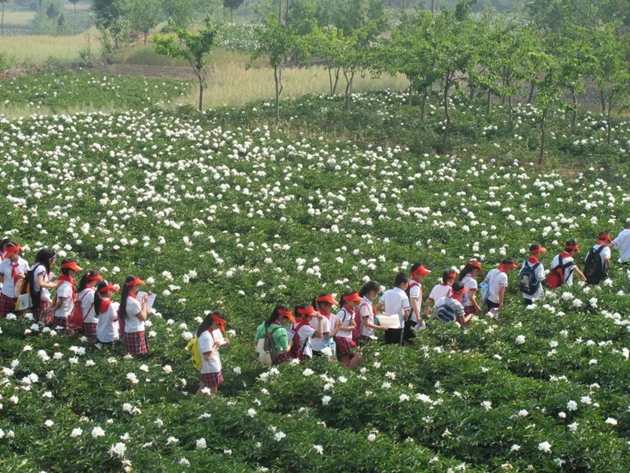 1617092333805213.jpg 28.jpg