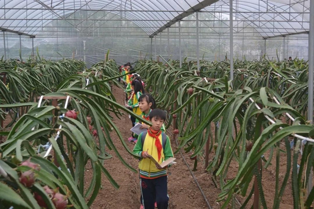 1617092341535151.jpg 29.jpg