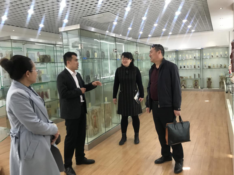 1617696150666358.png 4.png