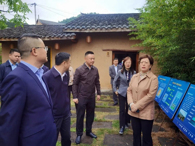 1650507526781657.jpg 朱莉一行調(diào)研四川玄慈觀景文化旅游開發(fā)有限公司萬佛民宿項目.jpg