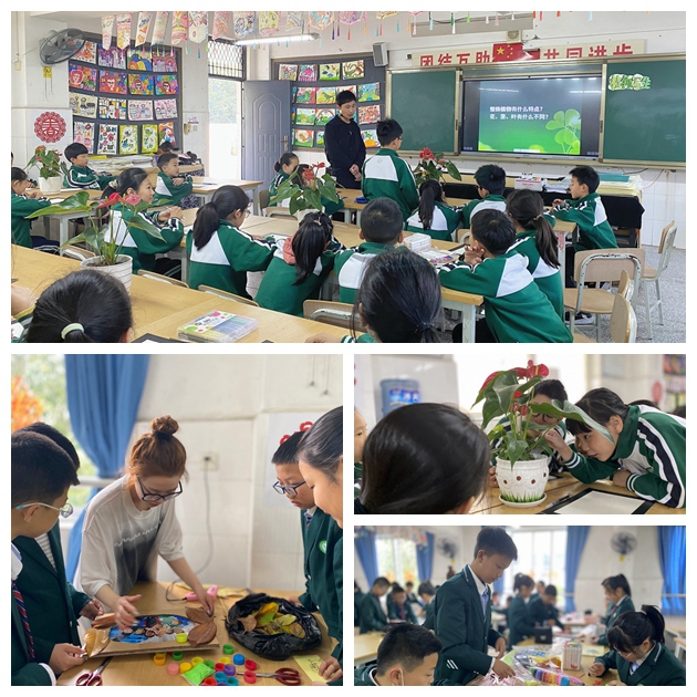 1651196603726495.jpg 繼光實驗學校美術組開展新教師成長計劃教育教學活動.jpg